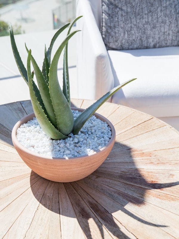 PROJECT BEL AIR // BLACKBAND DESIGN // TESSA NEUSTADT PHOTOGRAPHY