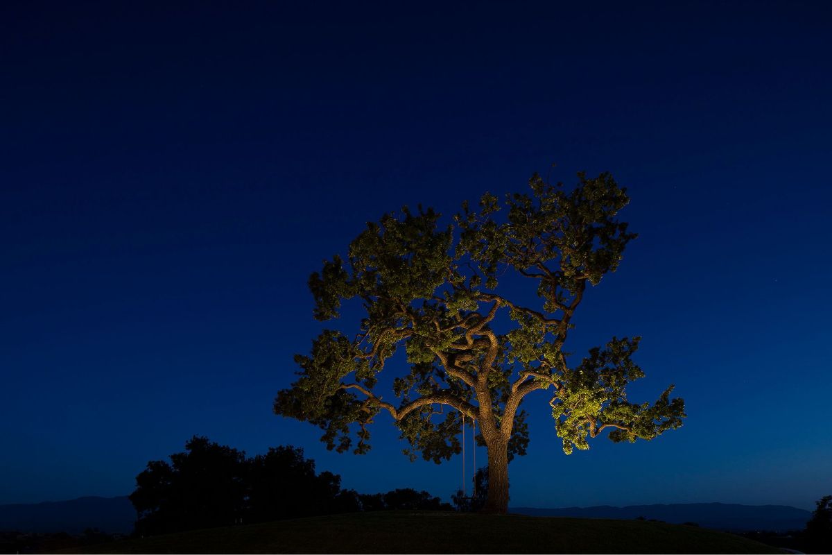 blackband_design_top_ten_autumn_styling-24 PROJECT SANTA YNEZ // BLACKBAND DESIGN // MANOLO LANGIS PHOTOGRAPHY